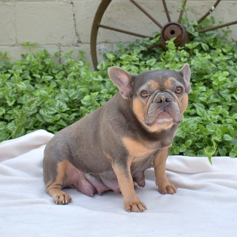 Lilah-Mama-adult
